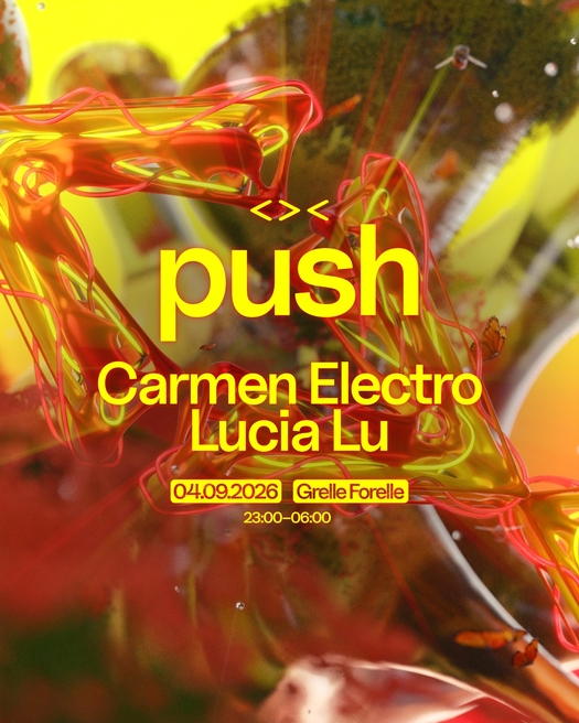 Flyer for PUSH w/ Carmen Electro, Lucia Lu